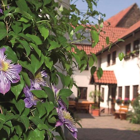Pension Gaestehaus Kachelofa Фаинген-ан-дер-Енц Екстериор снимка