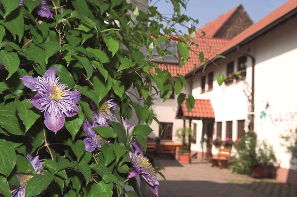 Pension Gaestehaus Kachelofa Фаинген-ан-дер-Енц Екстериор снимка